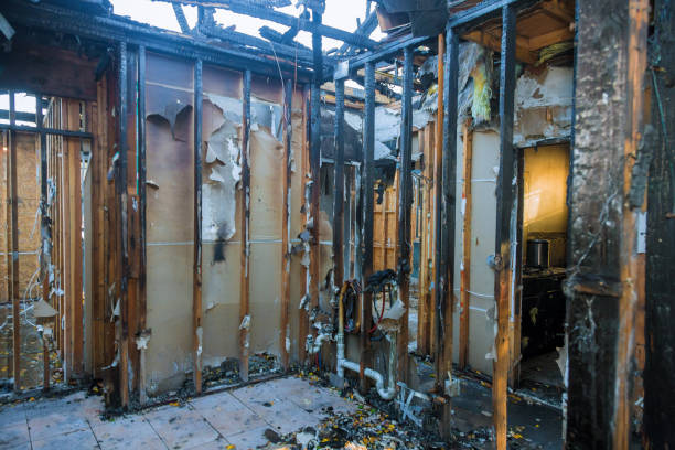 Professional Fire Damage Restoration technician working in Tarpon Springs, FL